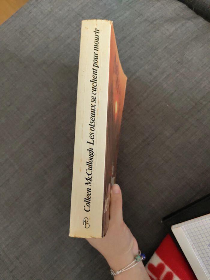 Les oiseaux se cachent pour mourir - photo numéro 3