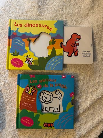 Lot de 2 livres magicouleurs