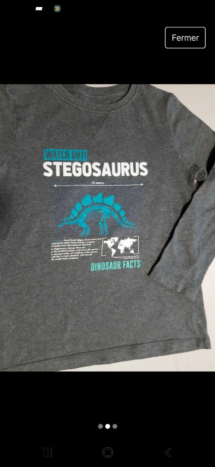 Tee-shirt dinosaure 4/5 ans - photo numéro 2