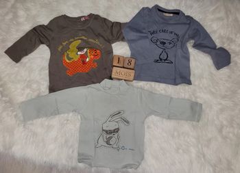 Lot tee shirt 18mois dpam