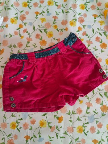 Short velours 