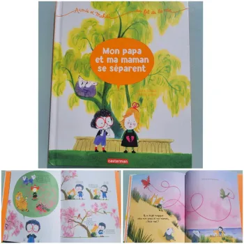 BD enfant casterman, Mon papa et ma maman se séparent