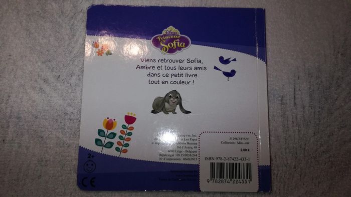 Lot de 2 livres Disney Junior - photo numéro 7