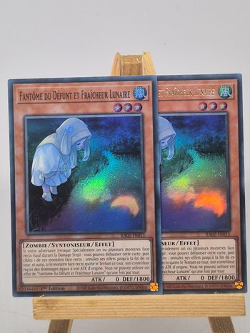 Lot de 2 - fantôme du défunt et fraîcheur lunaire