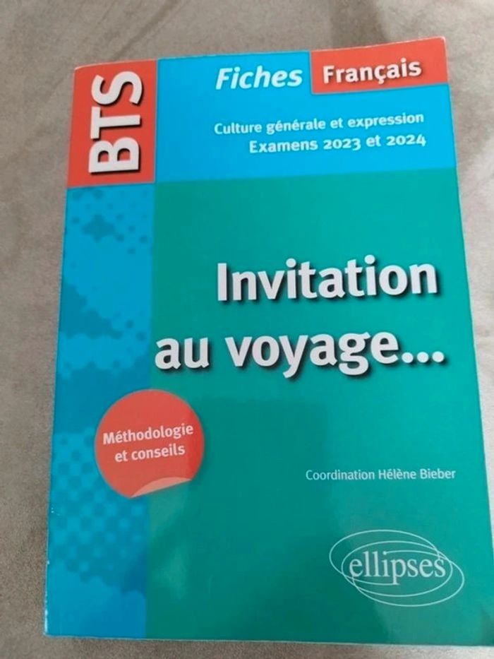 Lot de livre Initiation au voyage - photo numéro 4