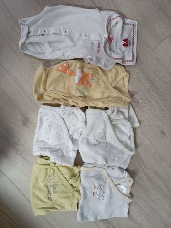 Lot 6 bodys