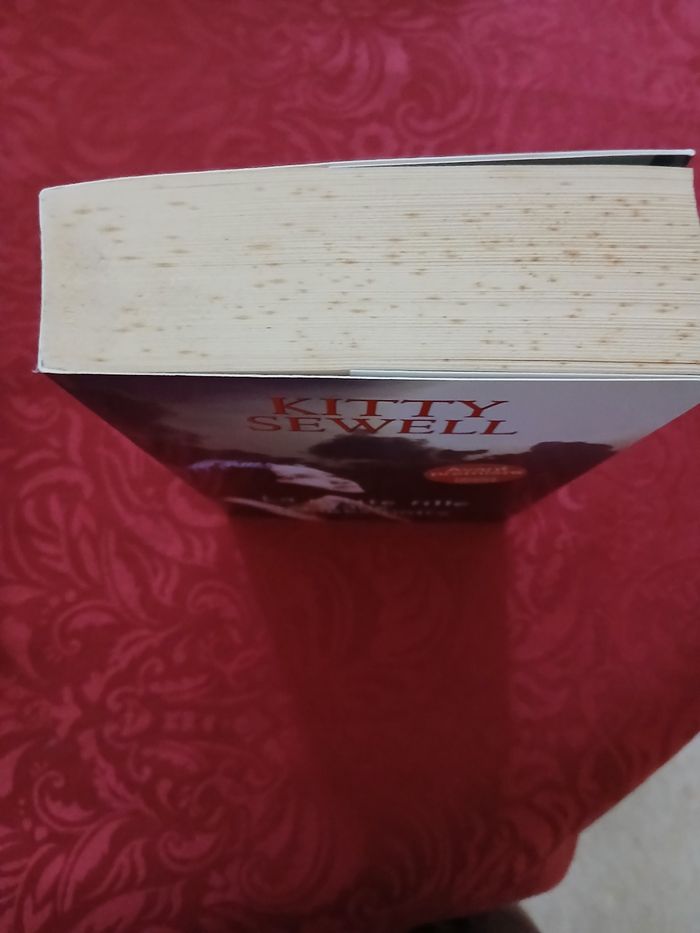 Livre la petite fille aux nuages noirs - photo numéro 2