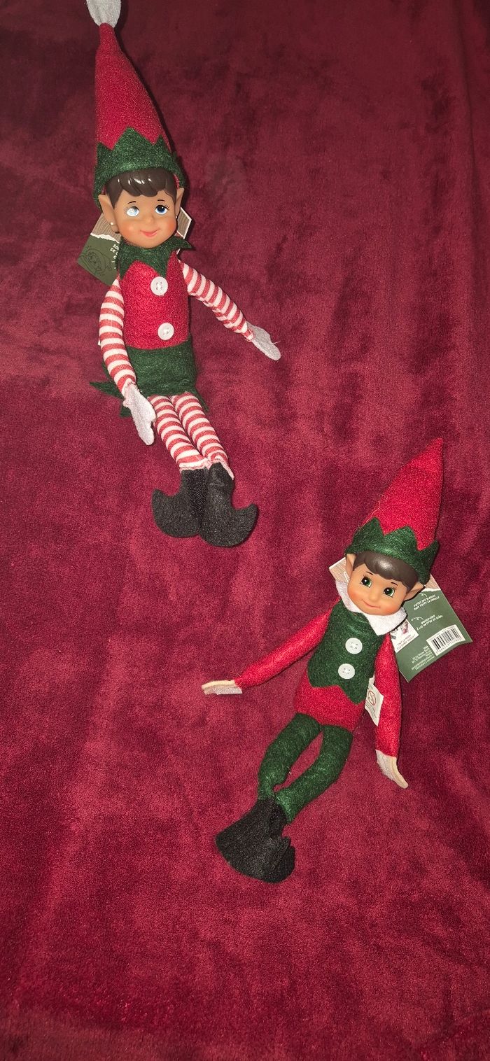 Duo lutins farceurs - photo numéro 3