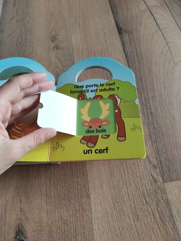 Livre : jouons à cache-cache avec les animaux - photo numéro 15