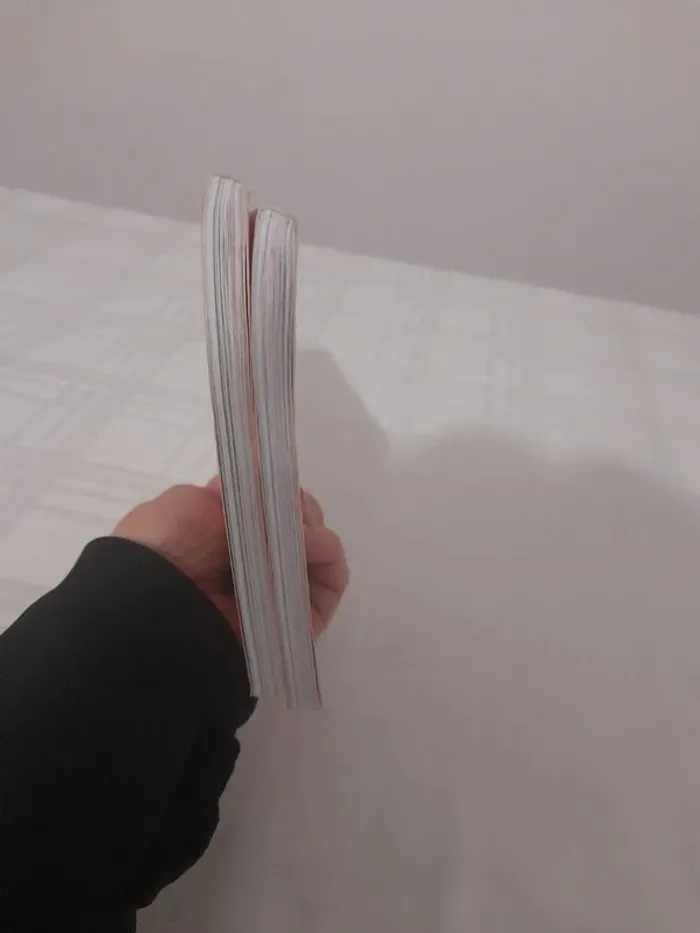 Lot de 2 livres melowy à partir de 7ans - photo numéro 5
