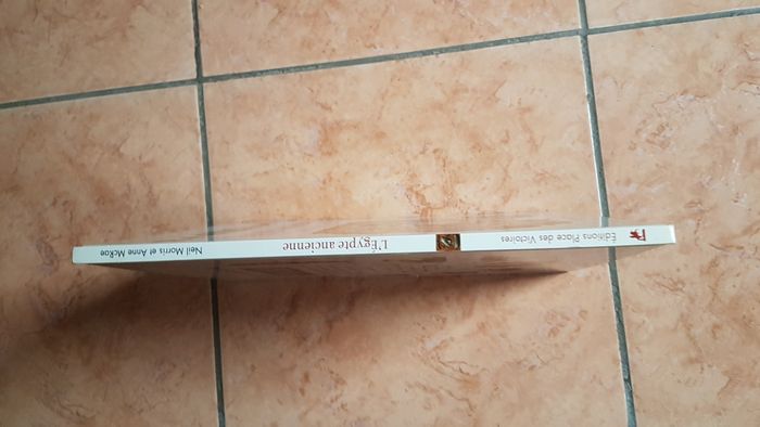 Livre " L'Egypte ancienne "de Neil Morris et Anne McRae - photo numéro 2