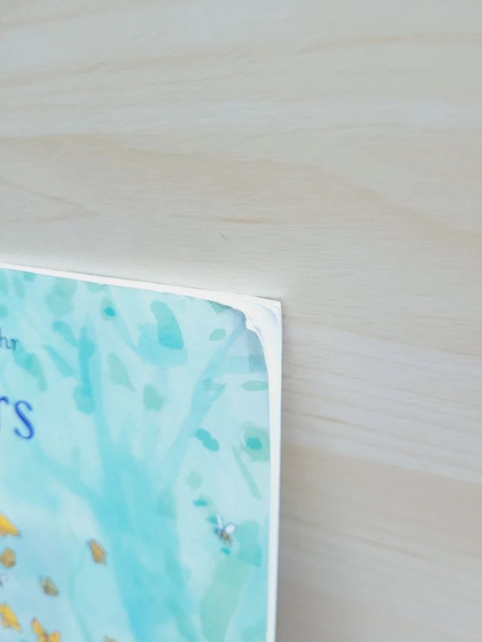 🌺 Livre (école des loisirs) : Calinours fait la fête - photo numéro 8