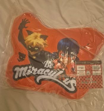 Coussin forme miraculous