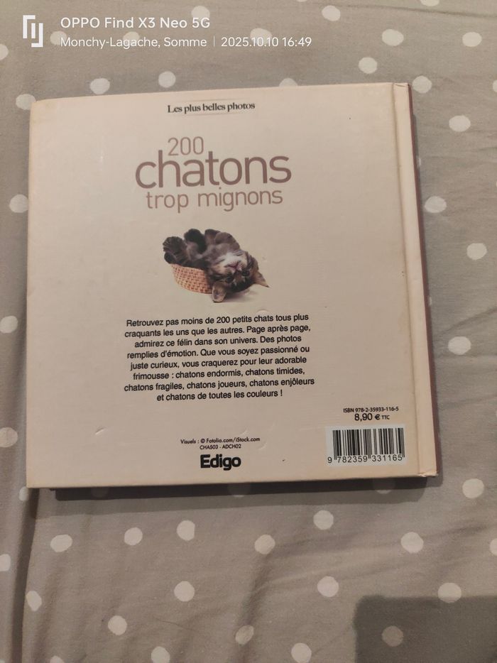 200 chatons trop mignons Réduction jusqu'à -70% - photo numéro 2