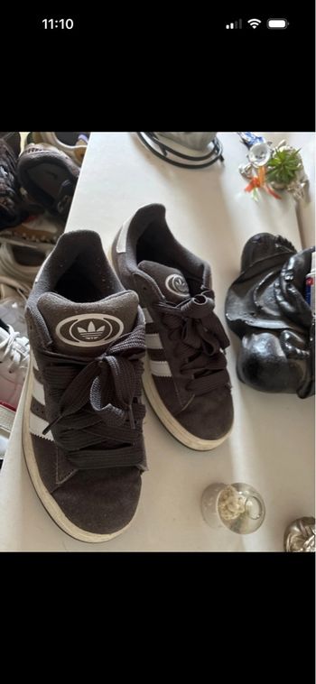 Basket adidas campus