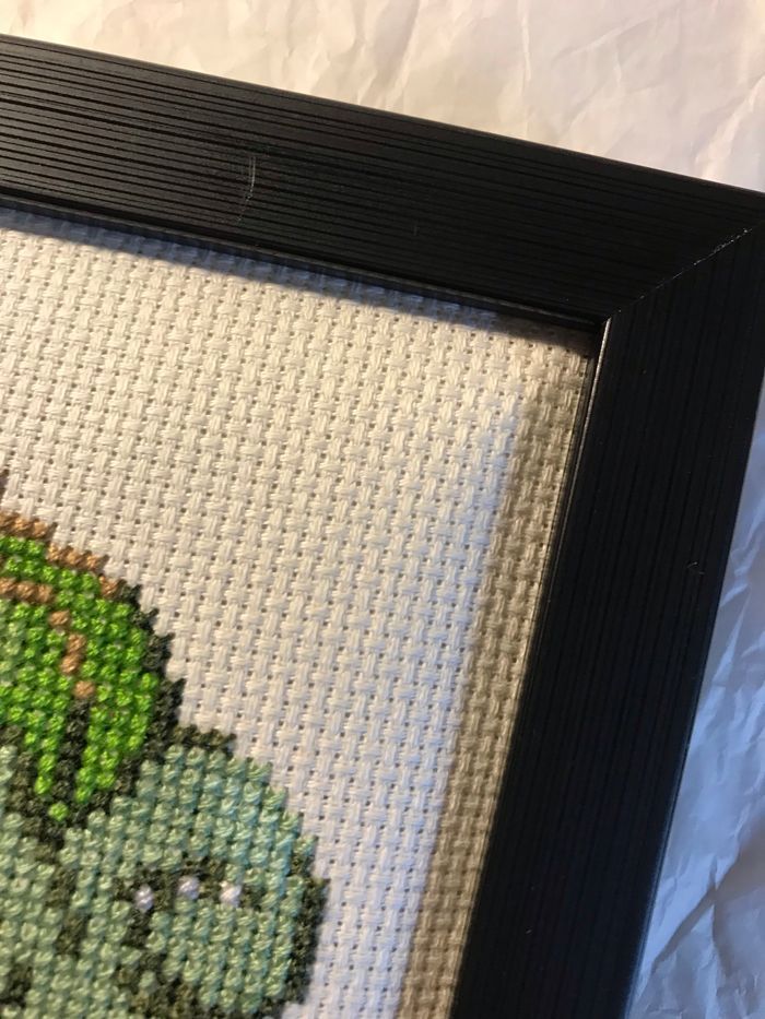 Cadre Bulbizarre Pokémon - photo numéro 2