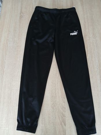 Jogging puma