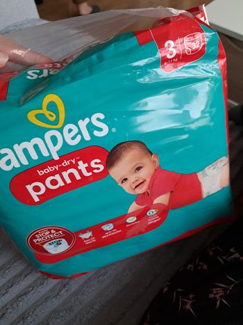 Pampers baby dry pants taille 3