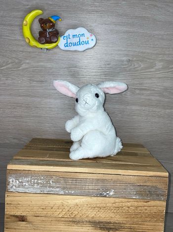 CDN36 doudou lapin 🐇 créations Dani