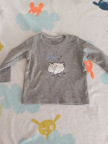 T-shirt gris 3 mois lupilu