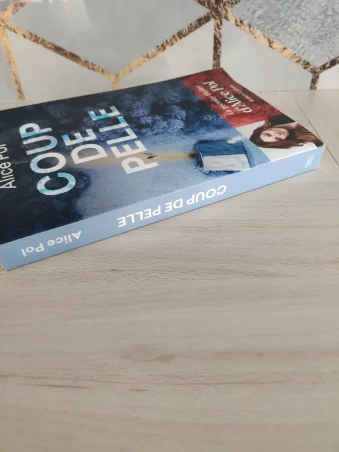 Livre grand format coup de pelle Alice Pol thriller - photo numéro 5