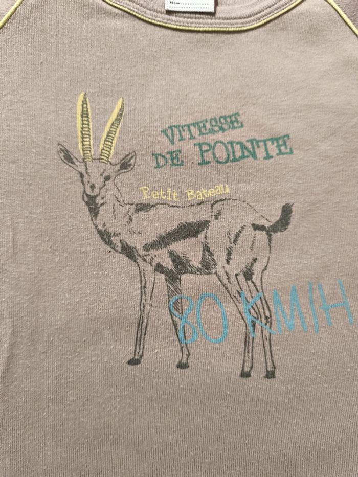 Tee shirt Petit Bateau 5 ans - photo numéro 4