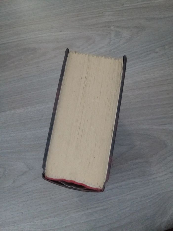 Le grand et le petit Albert - photo numéro 4