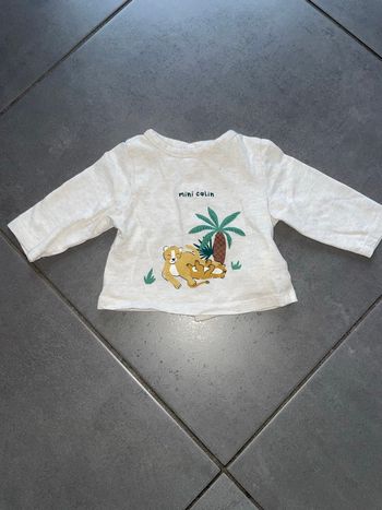 Pull 1 mois