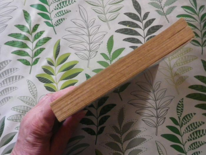 La tache noire de Robert Clauzel n°418 Fleuve Noir Anticipation - photo numéro 4