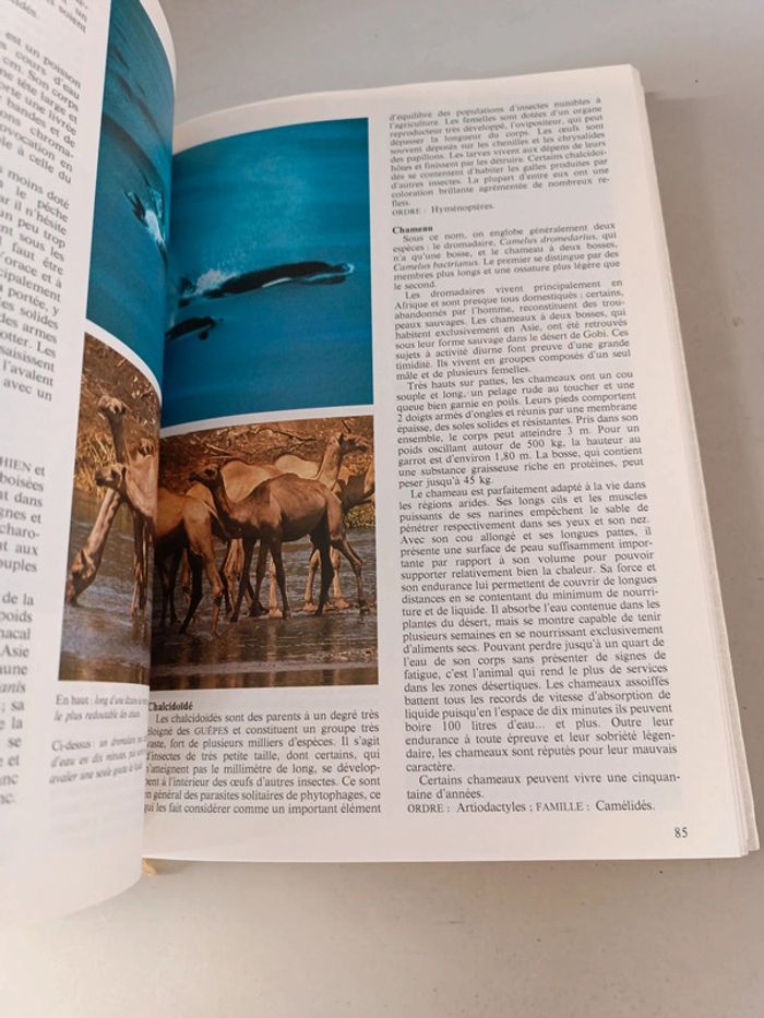 La nouvelle encyclopédie des animaux France loisirs édition 1980 - photo numéro 20