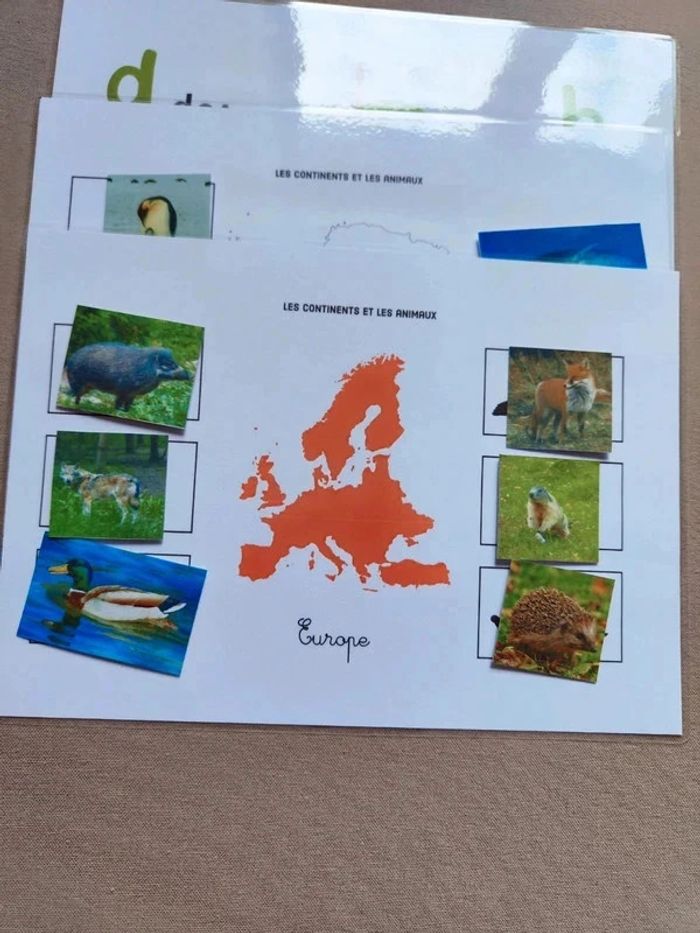 Les 7 continents et ses animaux à scratcher Montessori - photo numéro 9