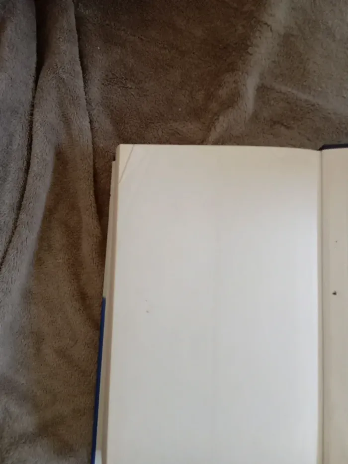 Les brumes d'où je viens de Line Renaud - photo numéro 6