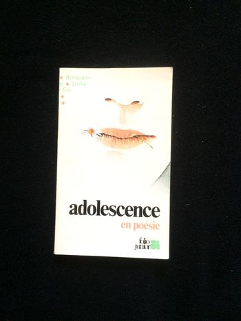 Adolescence en poésie