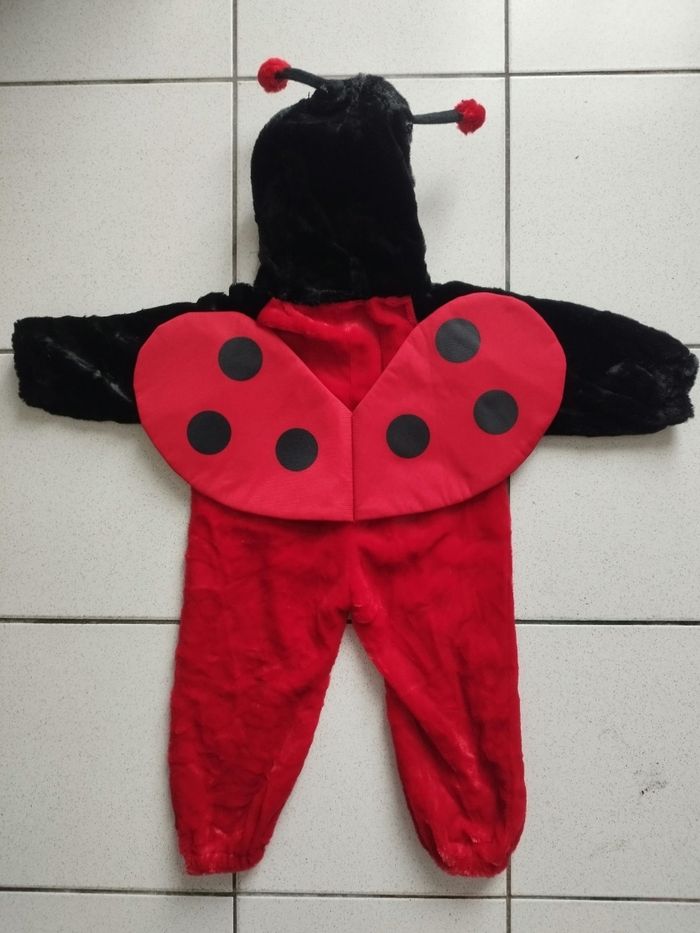 Déguisement Coccinelle - photo numéro 2