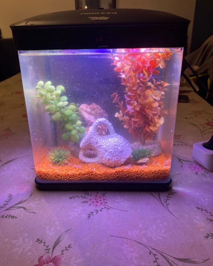 Aquarium nobleza - photo numéro 2