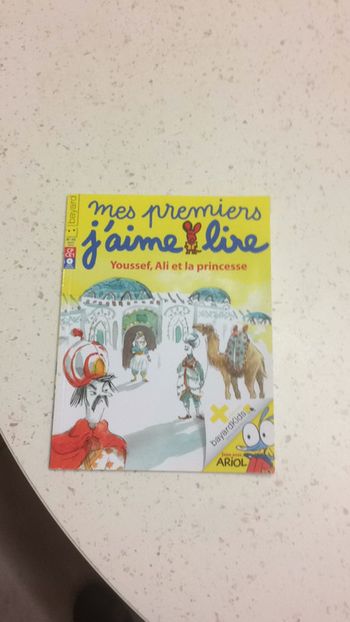 Youssef, Ali et la princesse