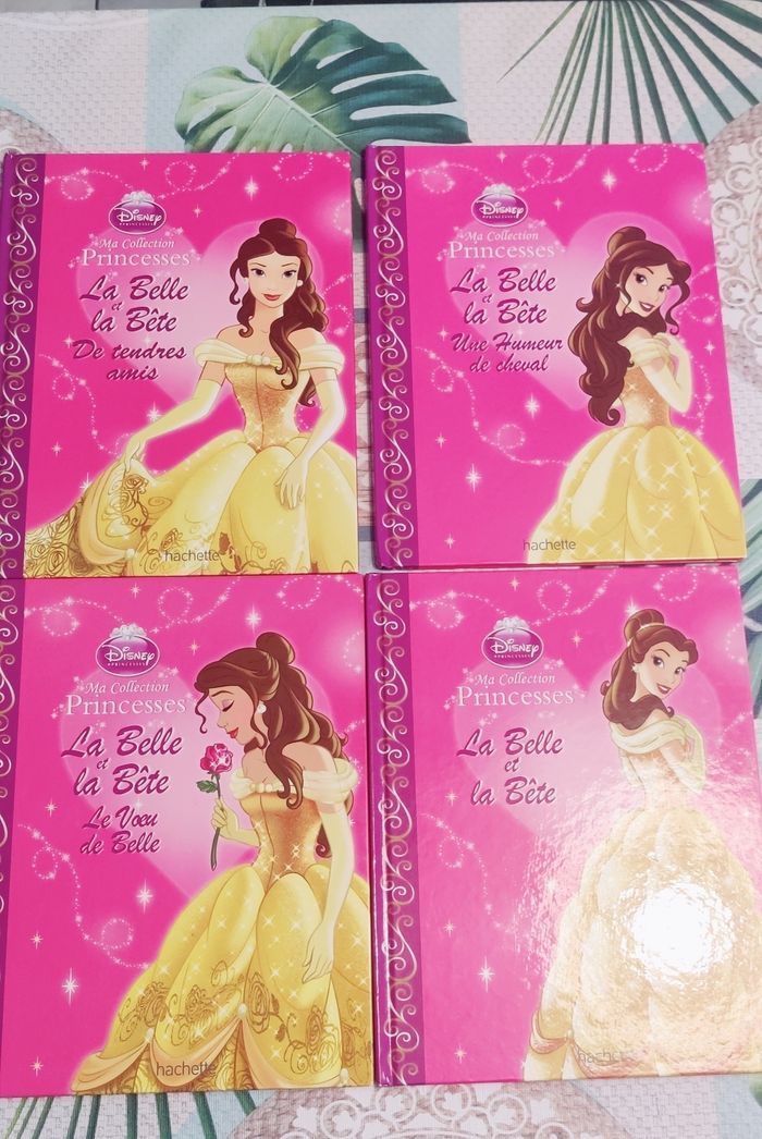 Livres la belle et la bête - photo numéro 1