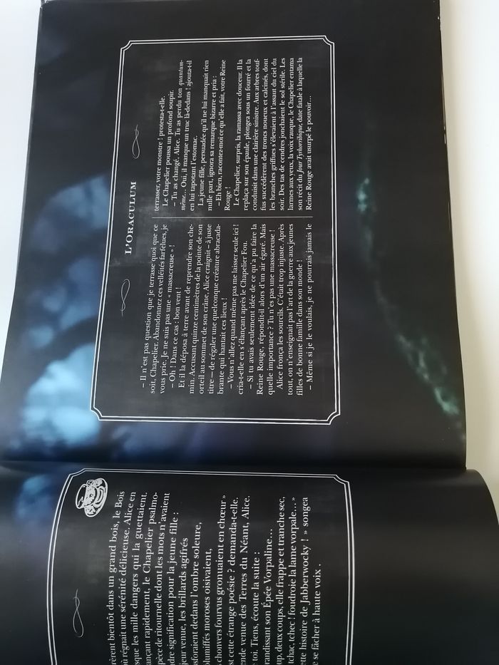 livre disney - photo numéro 5