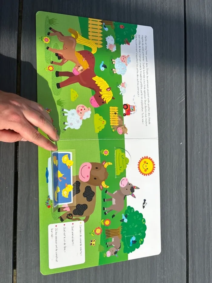 Livre - photo numéro 5