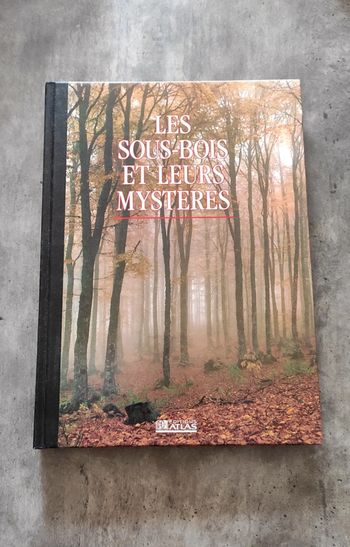 Les sous bois et leurs mystères