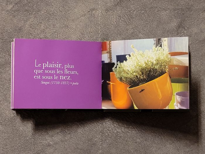 Huiles et arômes - Pensées, citations et recettes Allegrio, Aurélie Blain (Traduction) - photo numéro 4