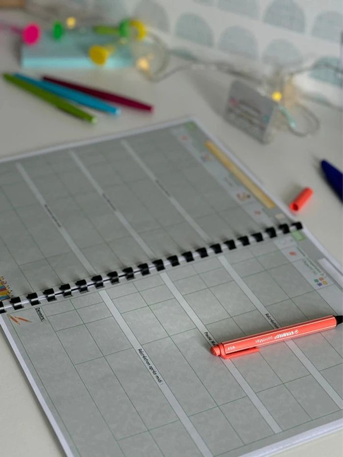 Cahier Journal Enseignant : 1 jour par page - photo numéro 10