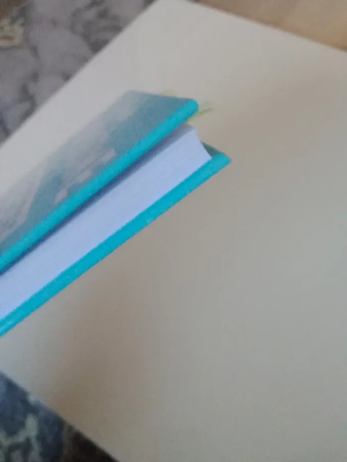 Livre recettes au cuit vapeur - photo numéro 8