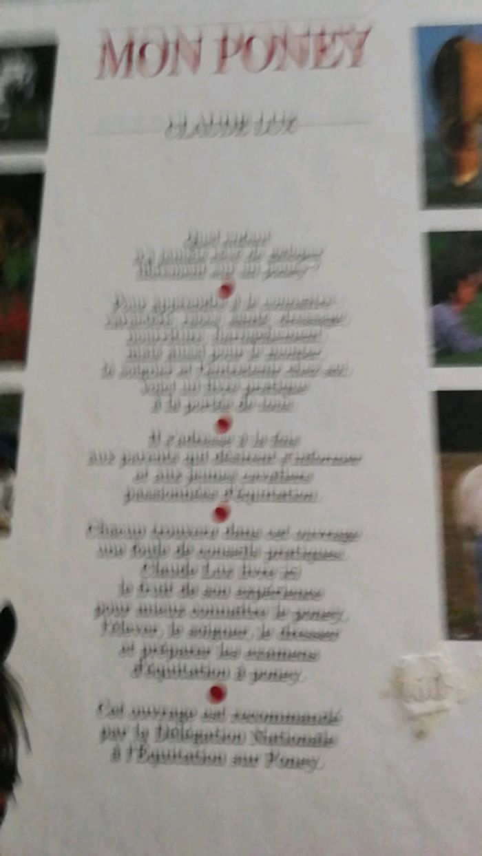 2 Livres neufs du cheval et du poney - photo numéro 6