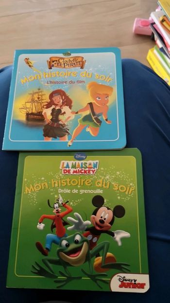 Livre fee clochette, la maison de mickey hachette