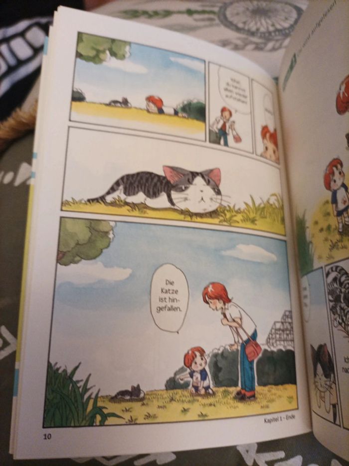 Kleine Katze Chi - photo numéro 2