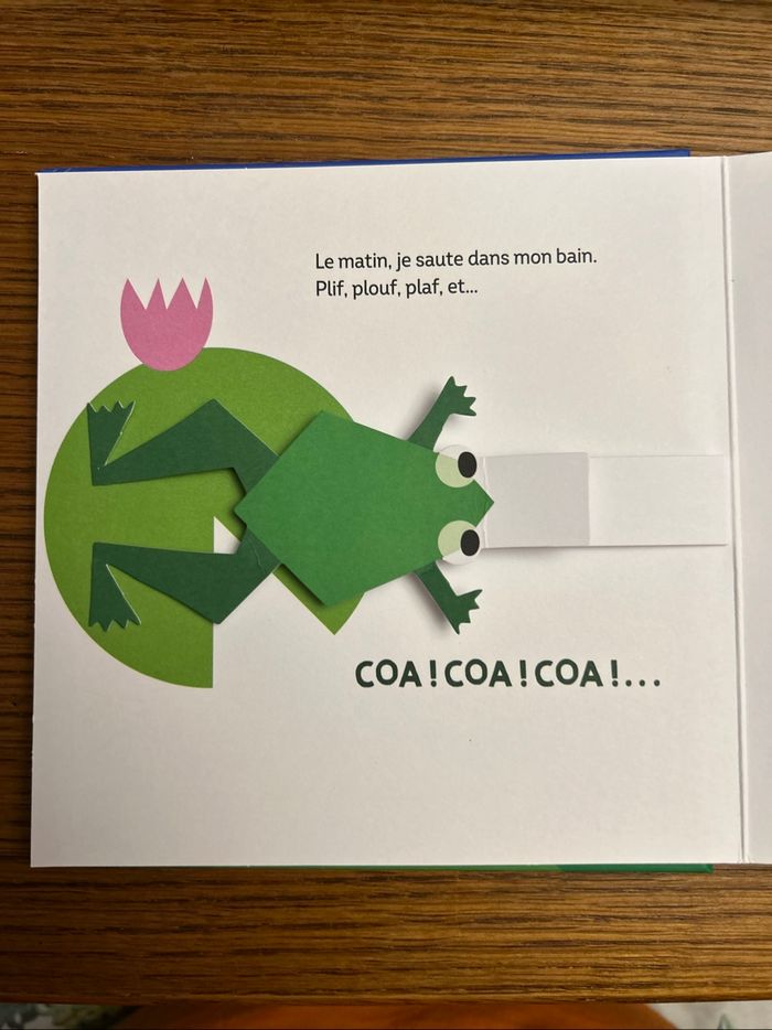 Livre la grenouille - photo numéro 2