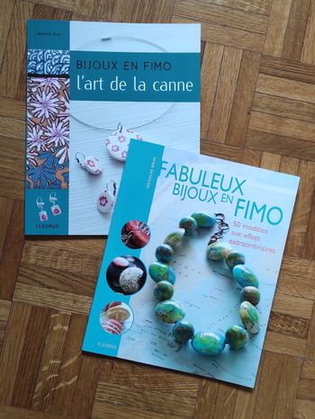 Lot 2 livres Fimo