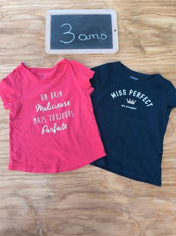 Lot de 2 t-shirts taille 3 ans en bon état