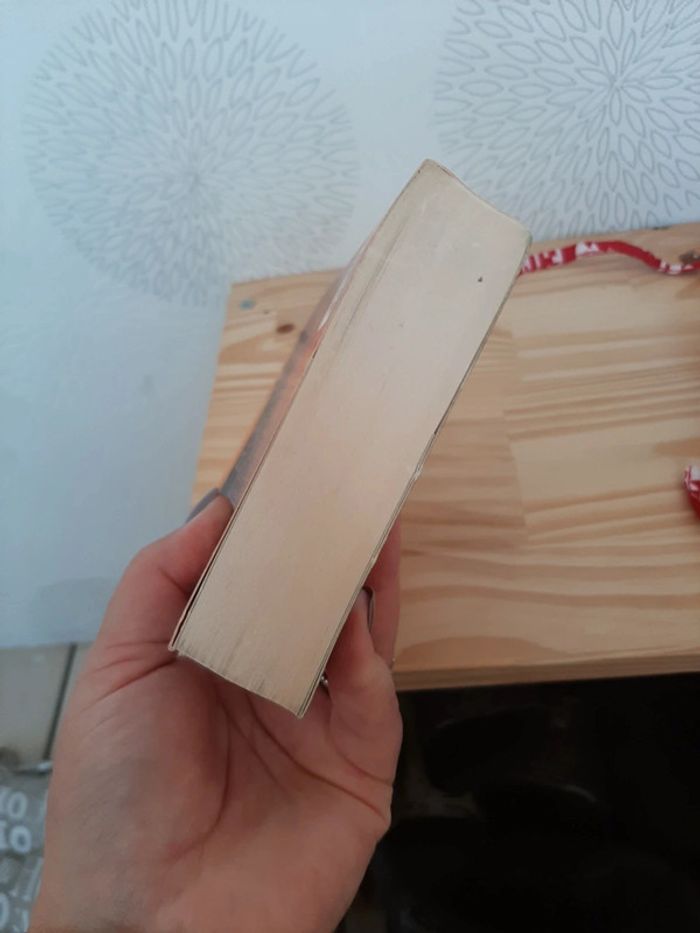 Livre éclair d'été - photo numéro 4